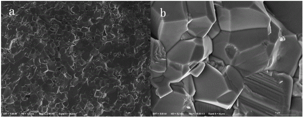 High-purity nano aluminium oxide biological ceramic formed through starch curing and preparation method and application thereof