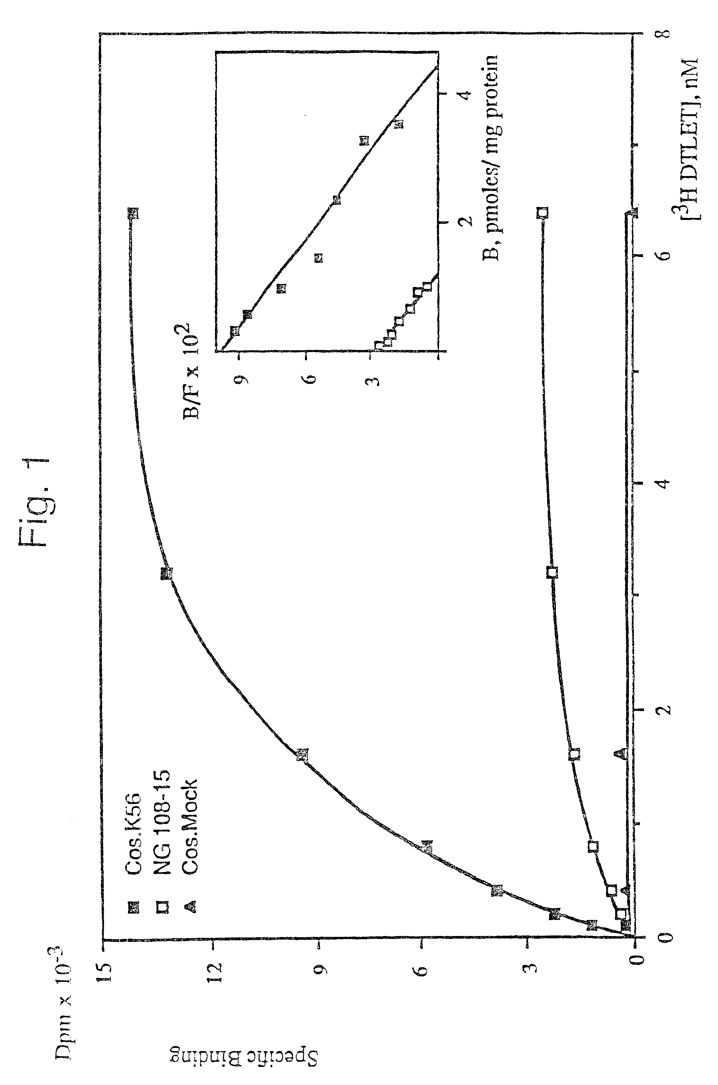 Polypeptides having opioid receptor activity, nucleic acids coding therefor and uses thereof