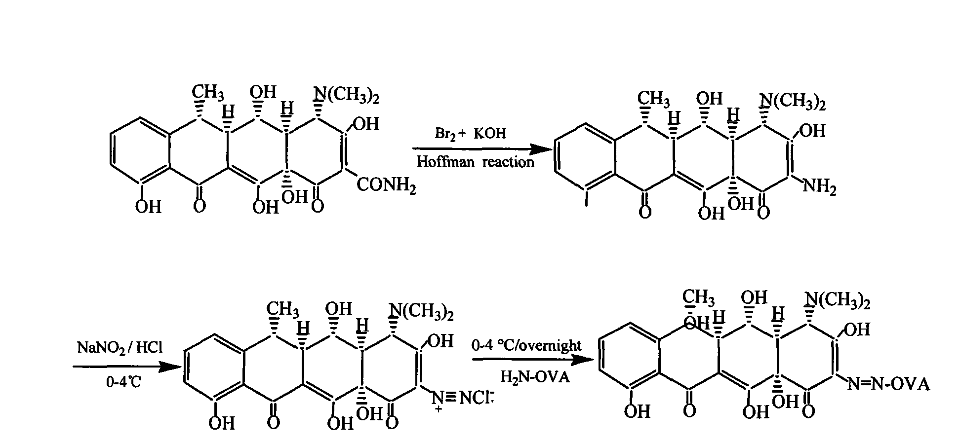 ELISA detection method for doxycycline remnant, kit and application