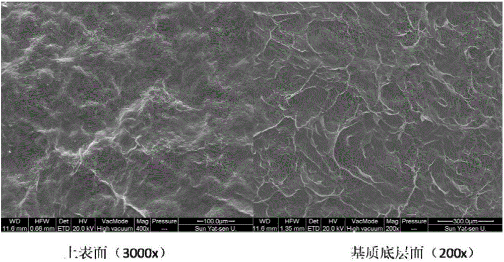 Photo-oxidation collagen crosslinking method and its application