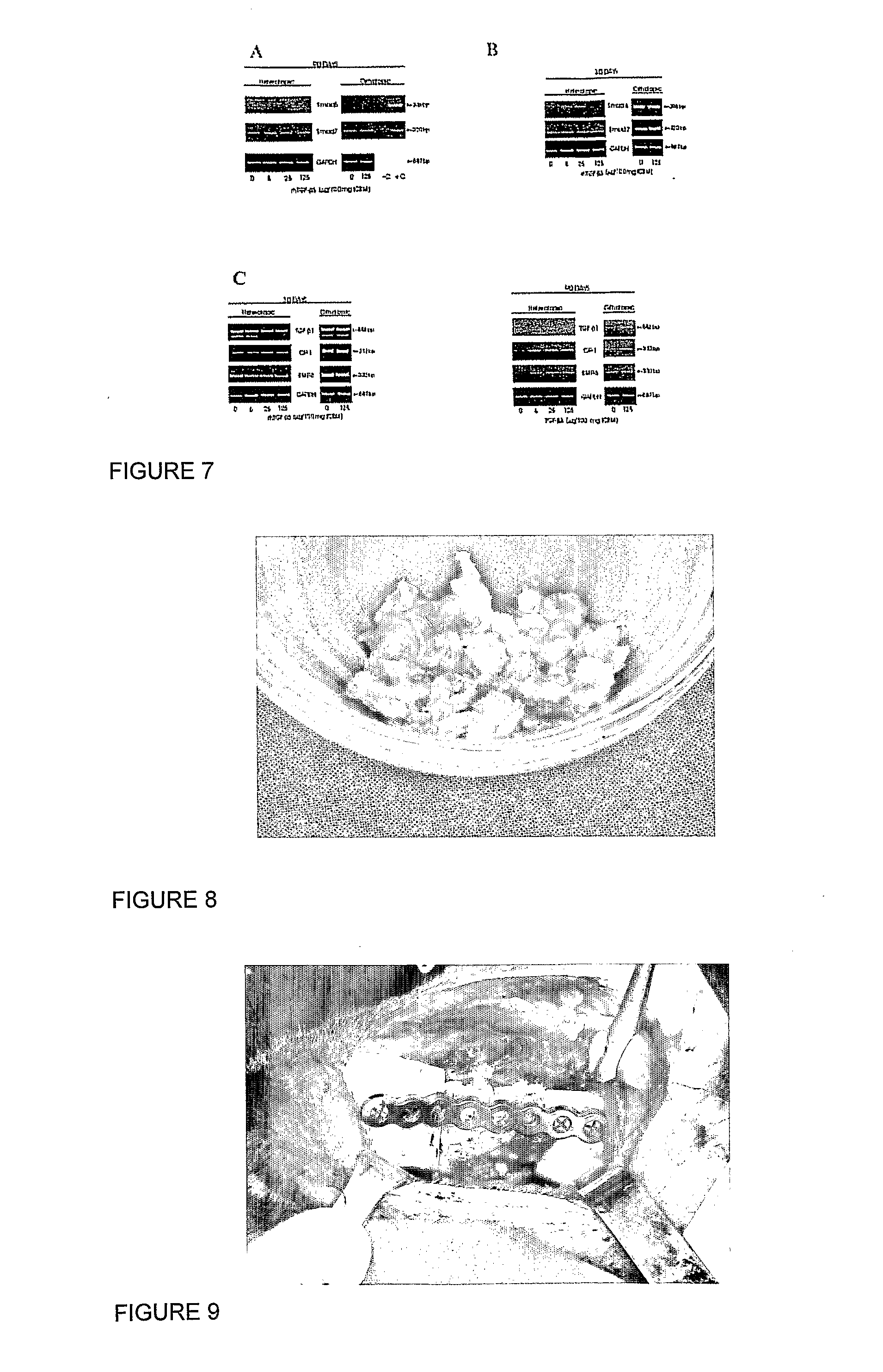 Osteogenic Device for Inducing Bone Formation in Clinical Contexts