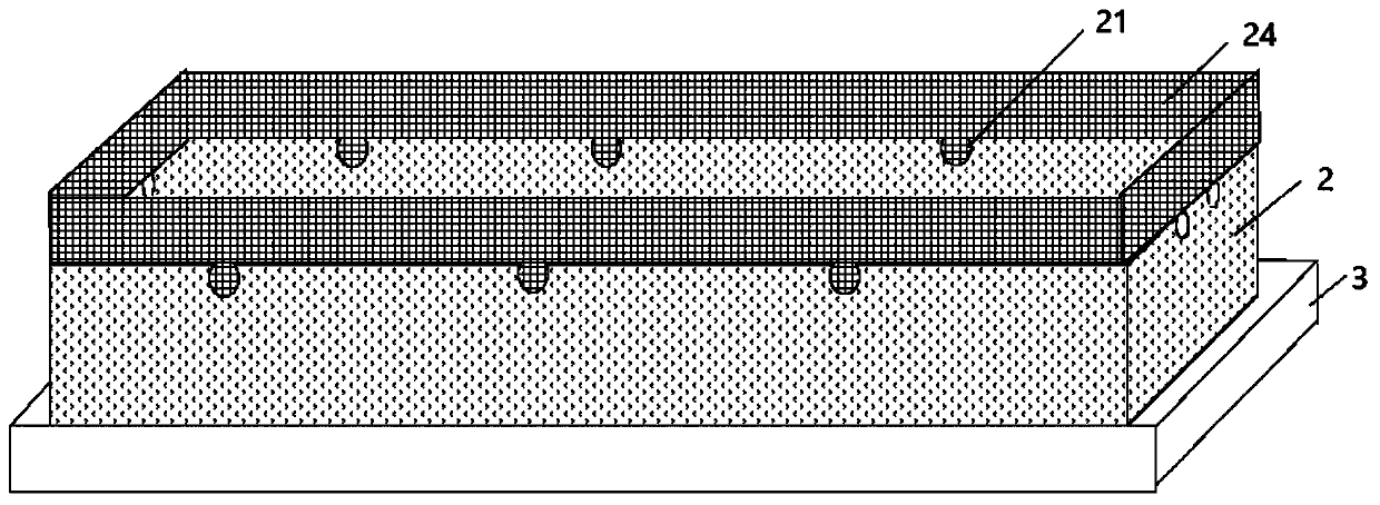 Freshwater snail aquaculture device