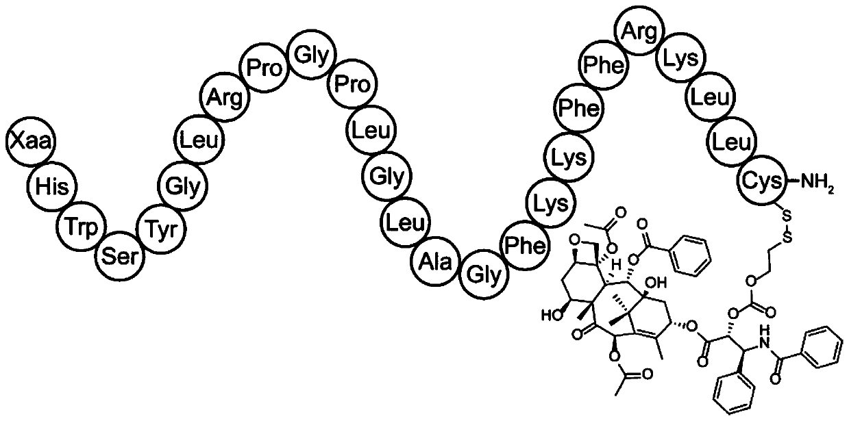 Polypeptide-paclitaxel conjugate and application thereof