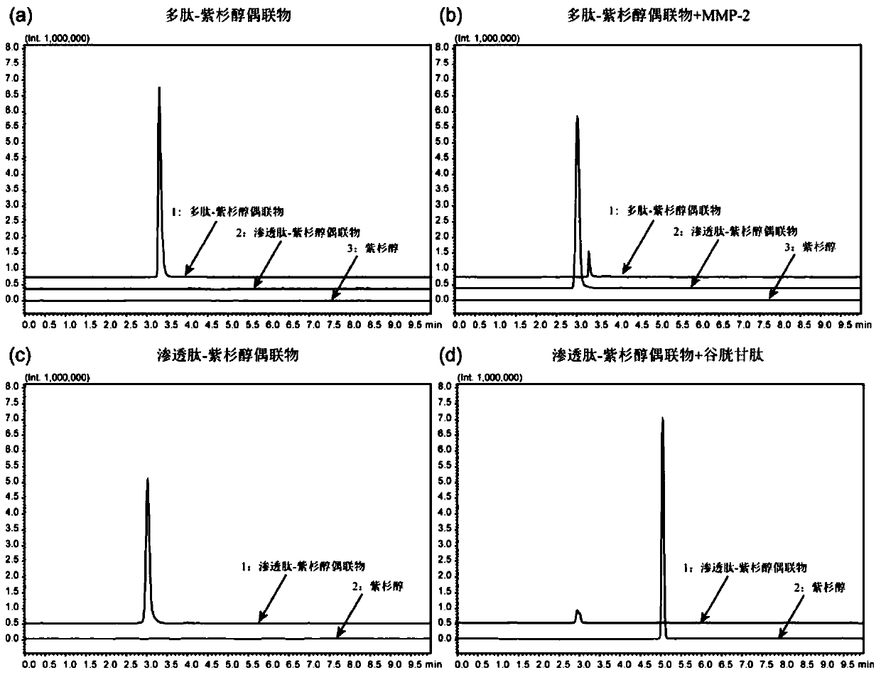 Polypeptide-paclitaxel conjugate and application thereof