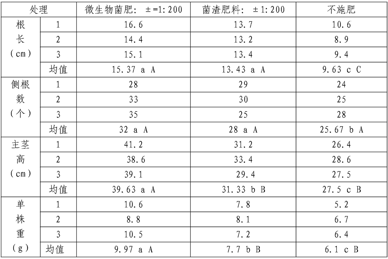 High concentration anti-disease compound microbial bacterial fertilizer and production method