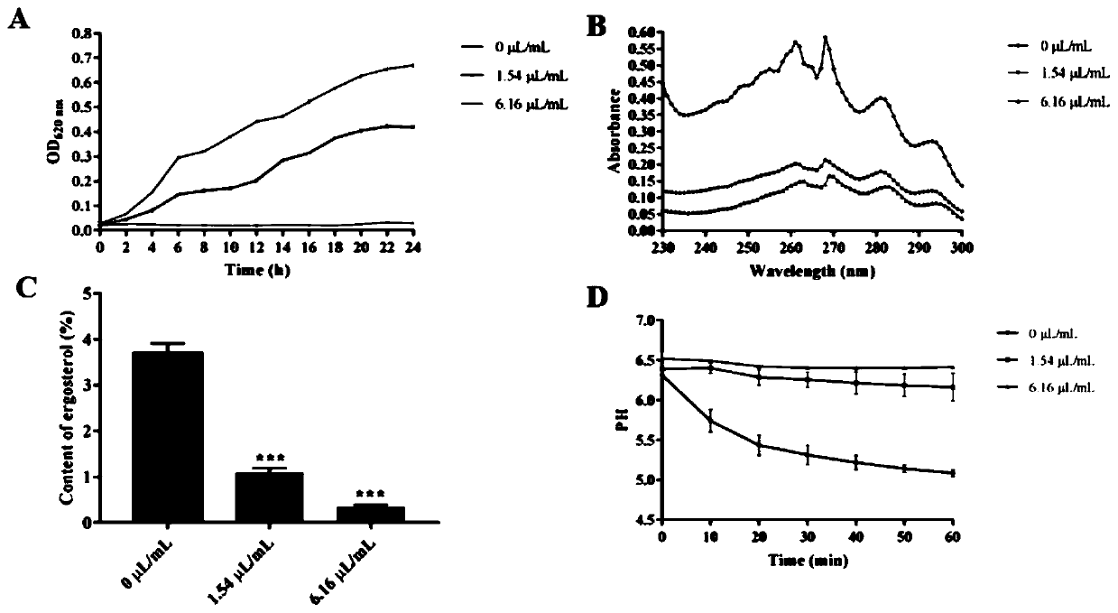 Application of nerol in preparation of drug for preventing and treating oropharyngeal candidiasis