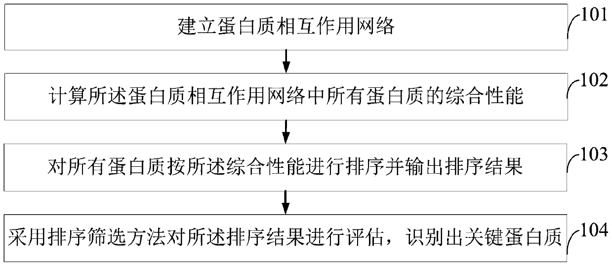 Key protein identification method and system based on protein node characteristics