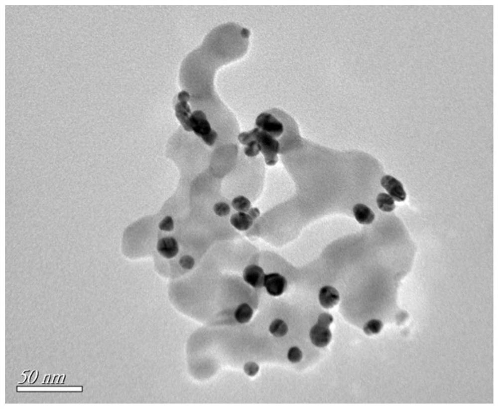 Magnetically-induced self-assembled electrochemical biosensor for sensitively detecting trace nickel ions and application of magnetically-induced self-assembled electrochemical biosensor