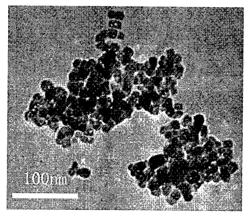 Phosphor doping type nano titanium dioxide having efficient sunlight catalytic capability and preparation method thereof