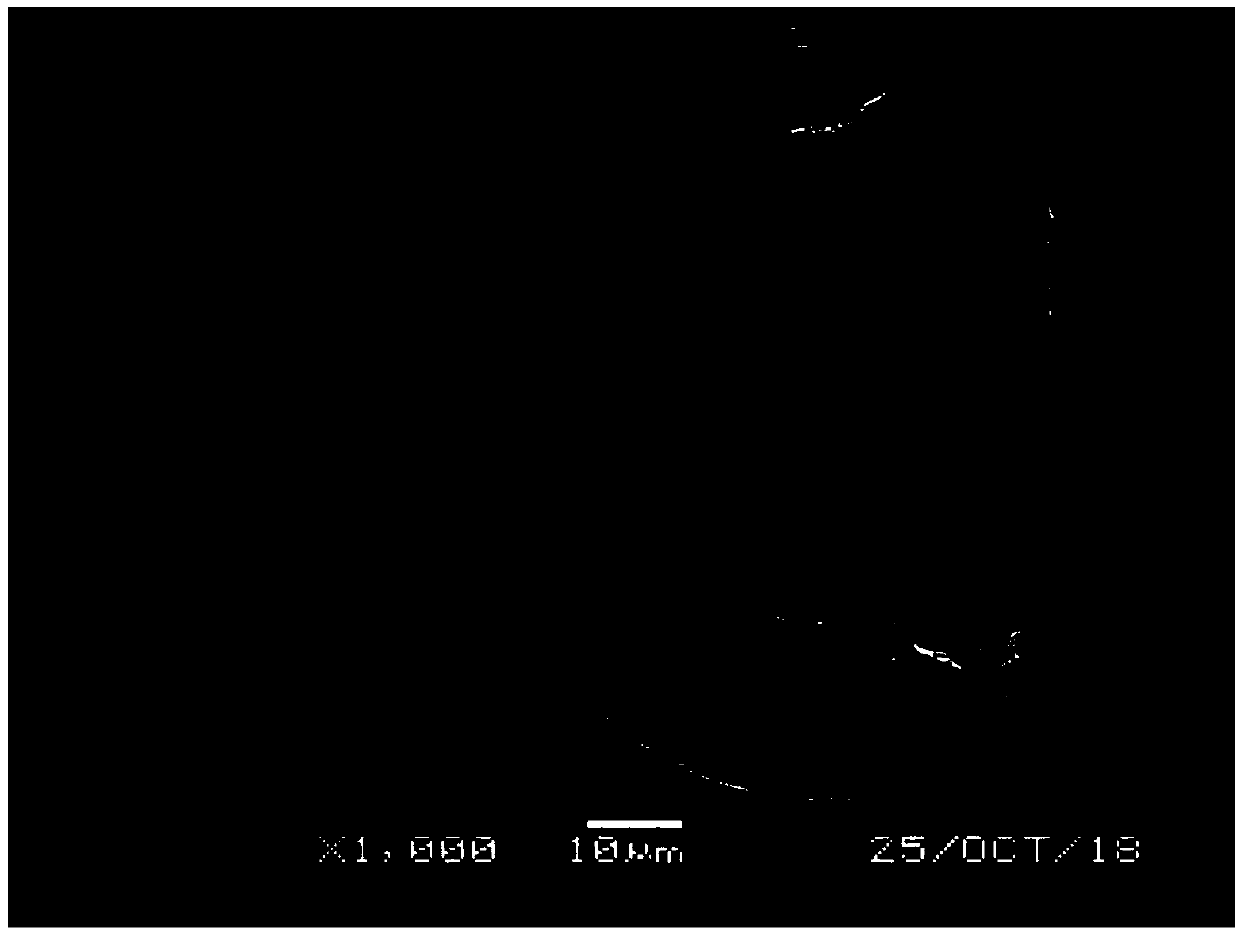 Preparation method of polyacrylonitrile-based hollow carbon fibers