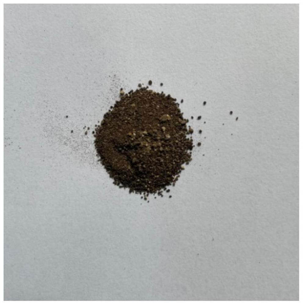 Application of providencia bacterial strain in preparation of divalent manganese oxidant