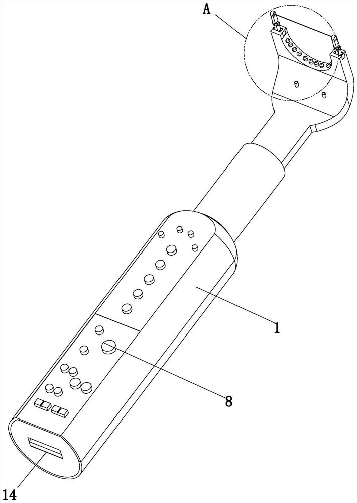 Auxiliary visualization device for oral hygiene maintenance