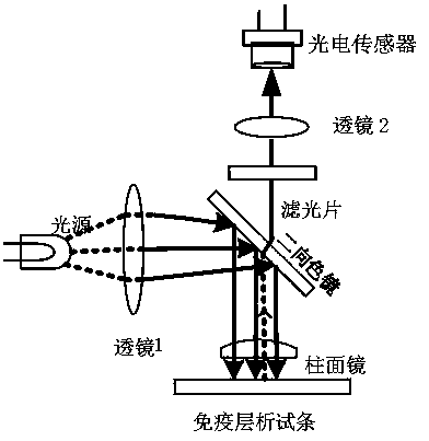 Immunochromatographic assay system and background identification method thereof