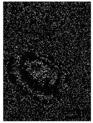 Platinum-doped tungsten oxide catalyst with rich oxygen vacancies and for electrolysis of water, and preparation method thereof