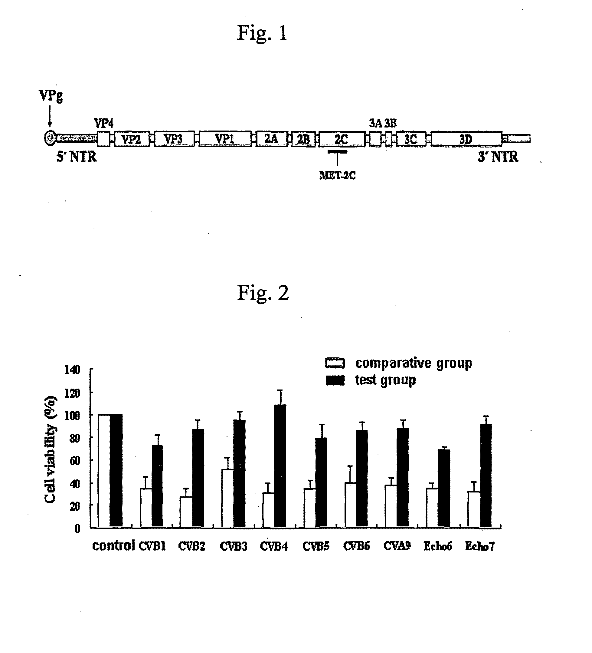 Sirna having antiviral activity against nonpolio enterovirus