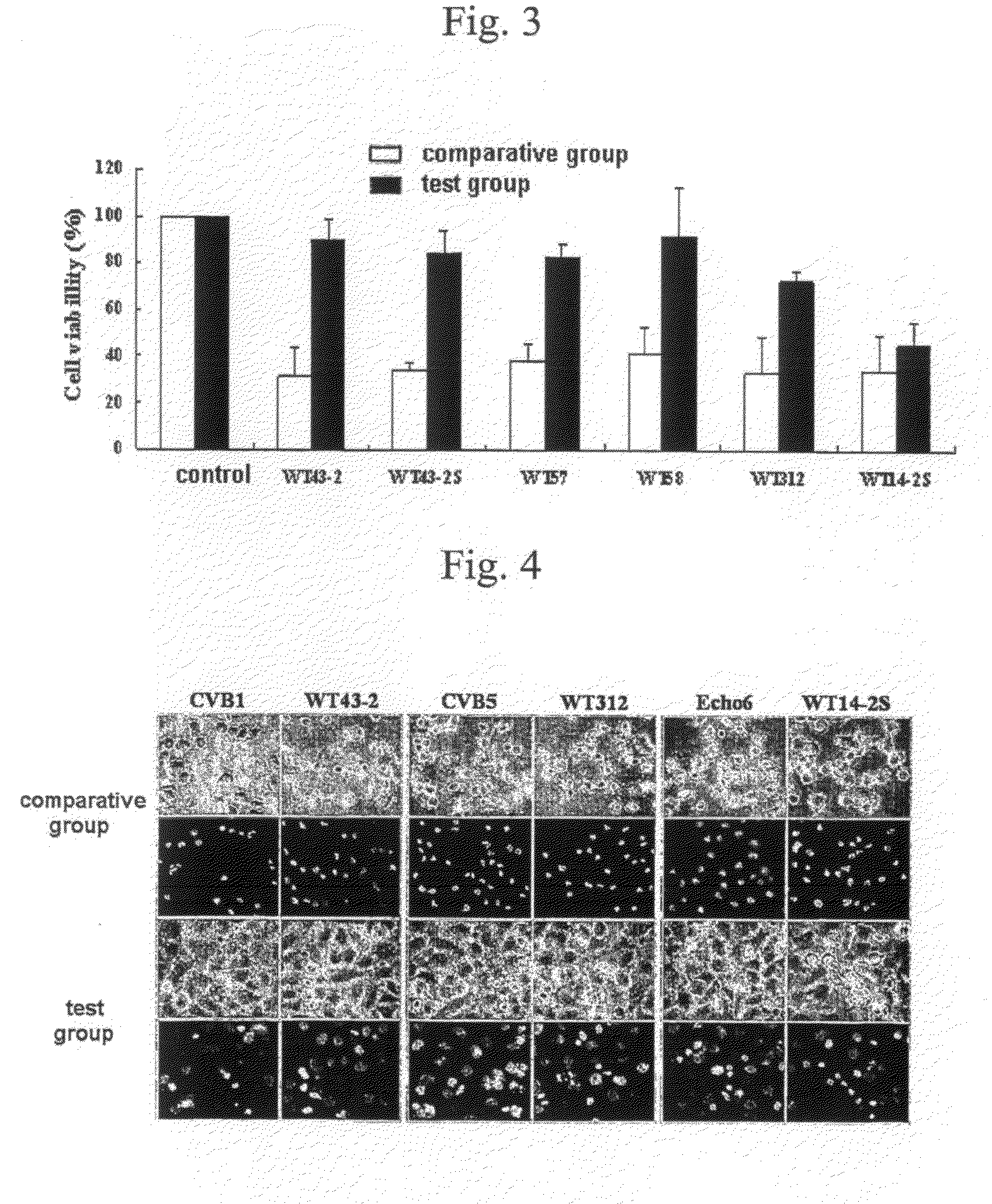 Sirna having antiviral activity against nonpolio enterovirus