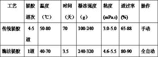 Process for preparing gelatin through enzyme method