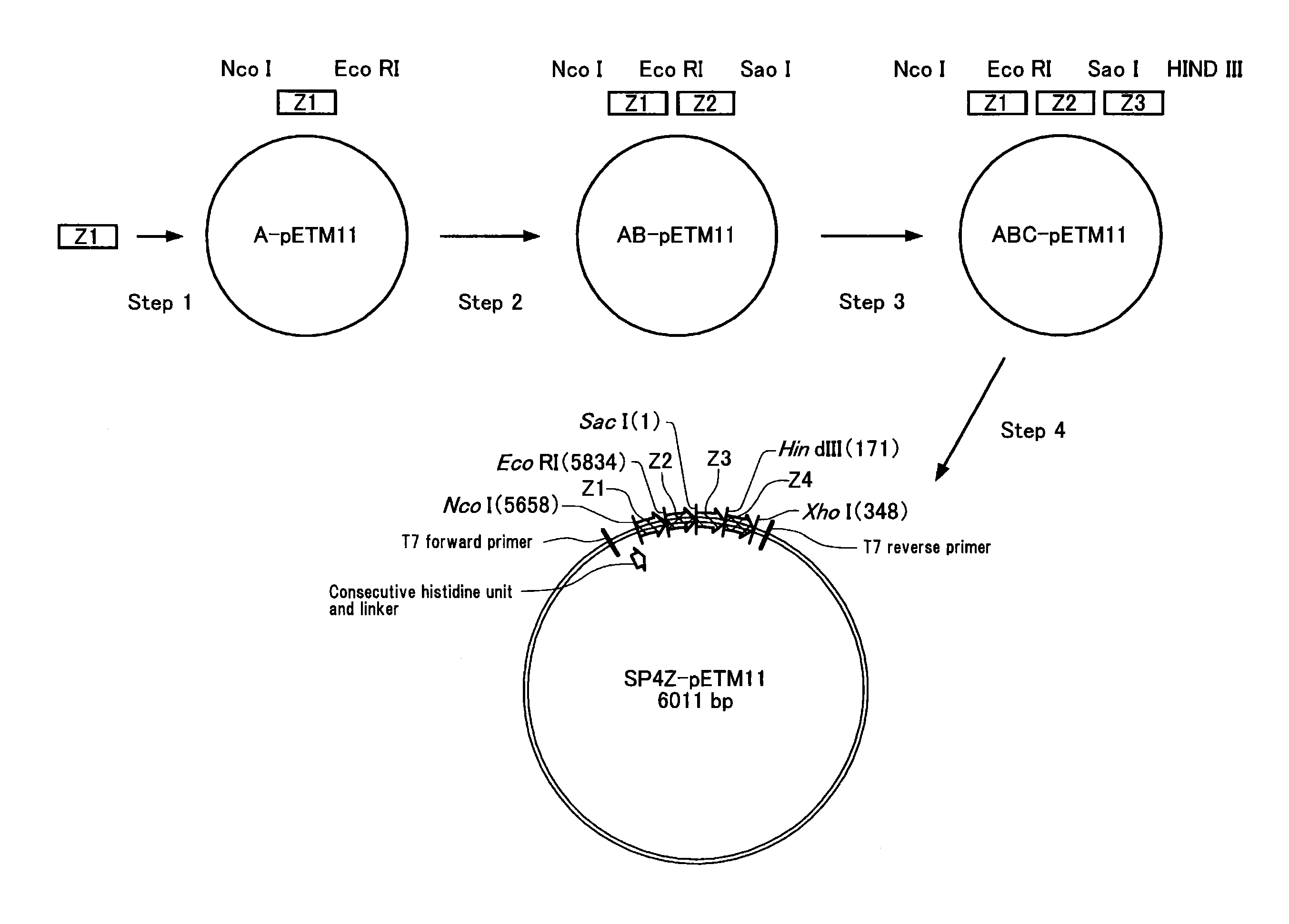 Filler for affinity chromatography