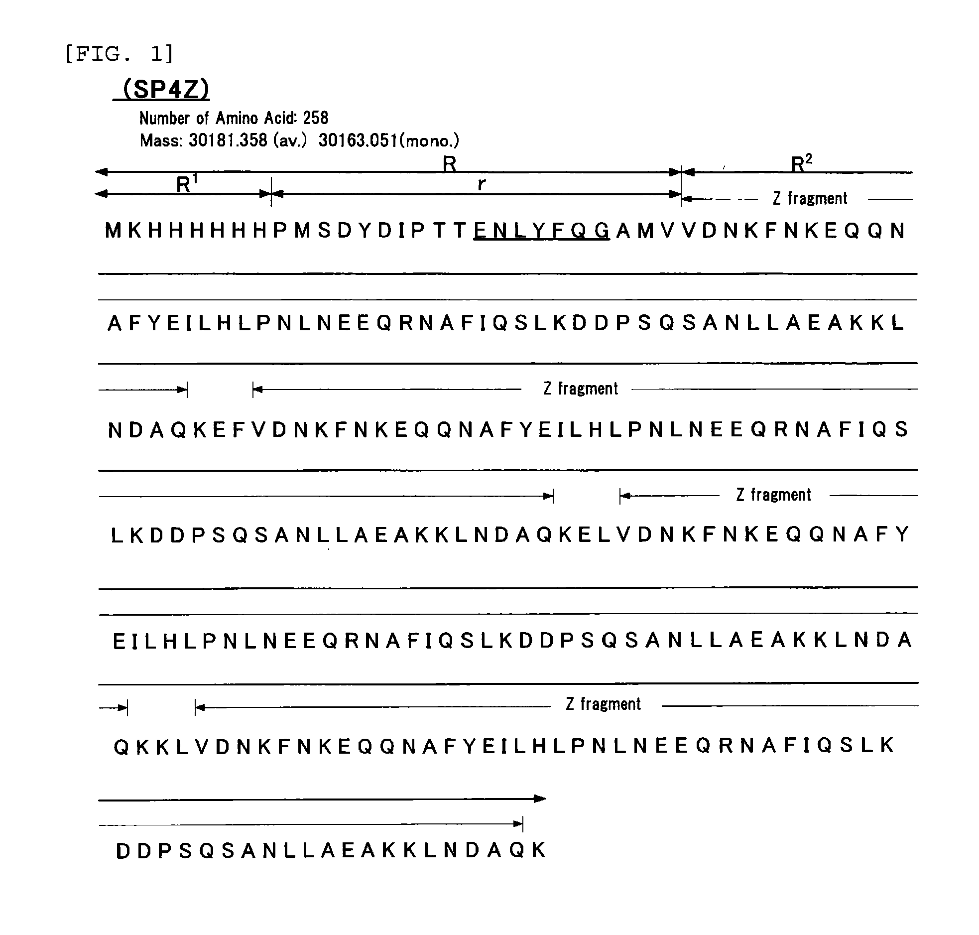 Filler for affinity chromatography