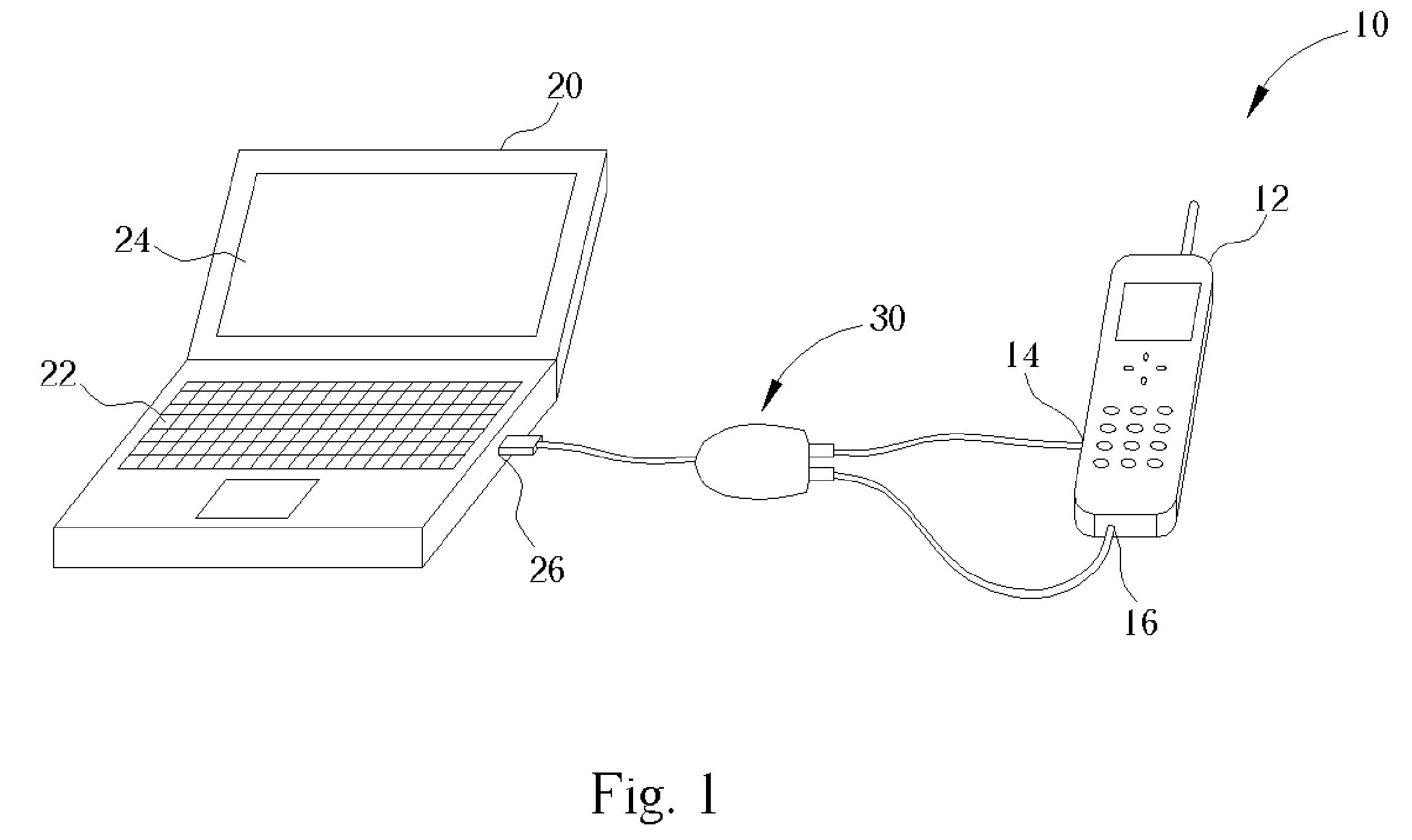 Data and charge adaptor for mobile device