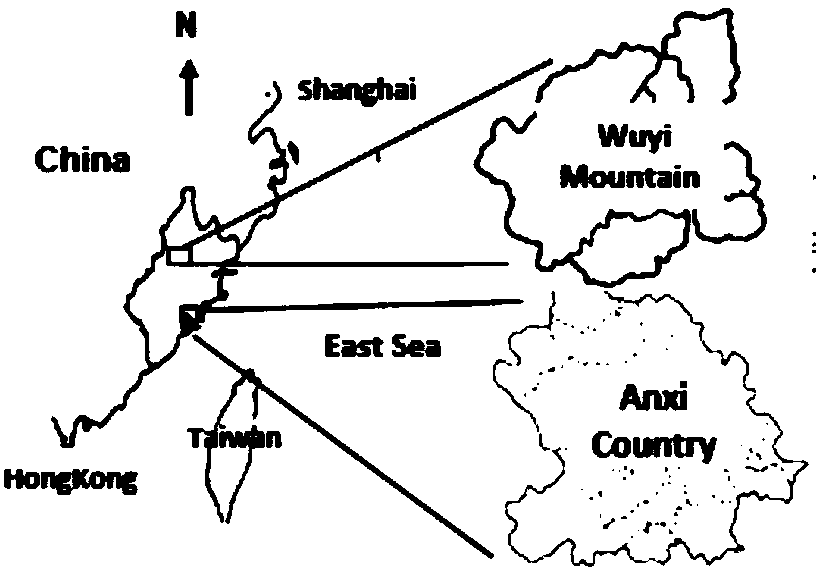 Oolong place-of-origin traceability method