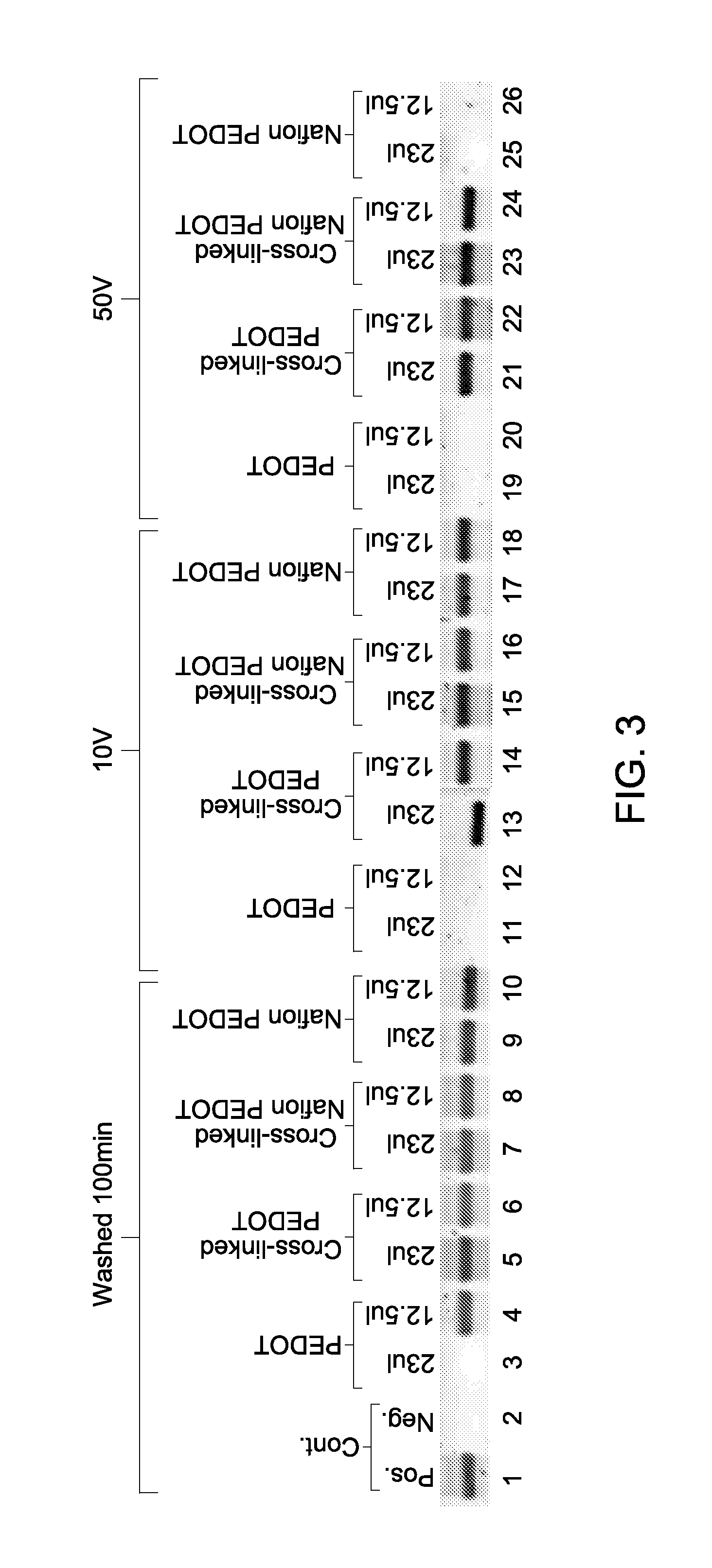 Methods for electroelution of biomolecules