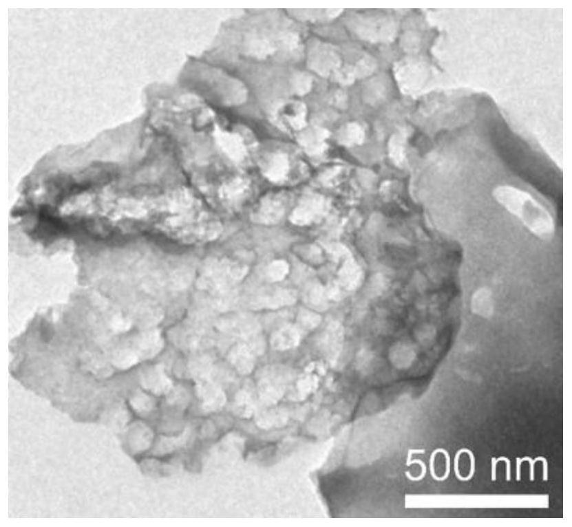 Biomass porous carbon material as well as preparation method and application thereof