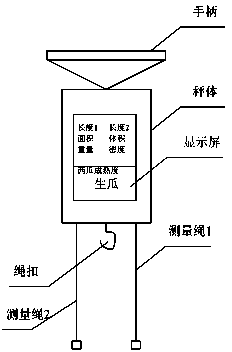 Multi-functional portable balance for determining maturity of watermelon