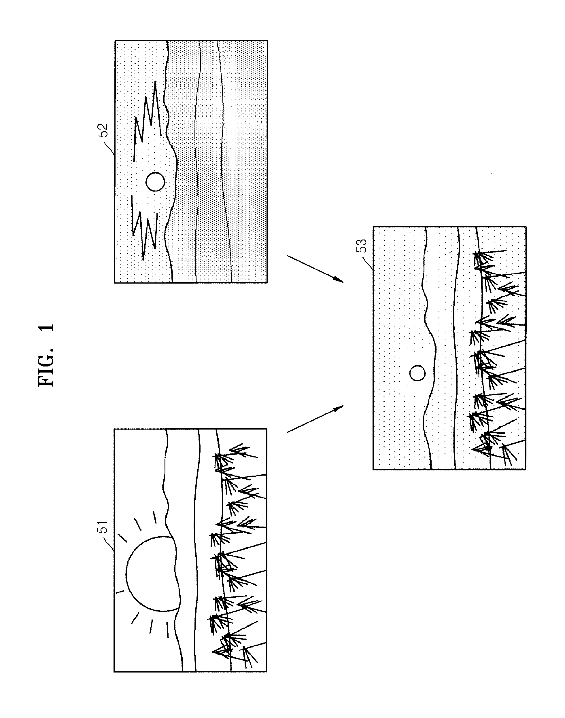 Photographing Apparatus and Photographing Method