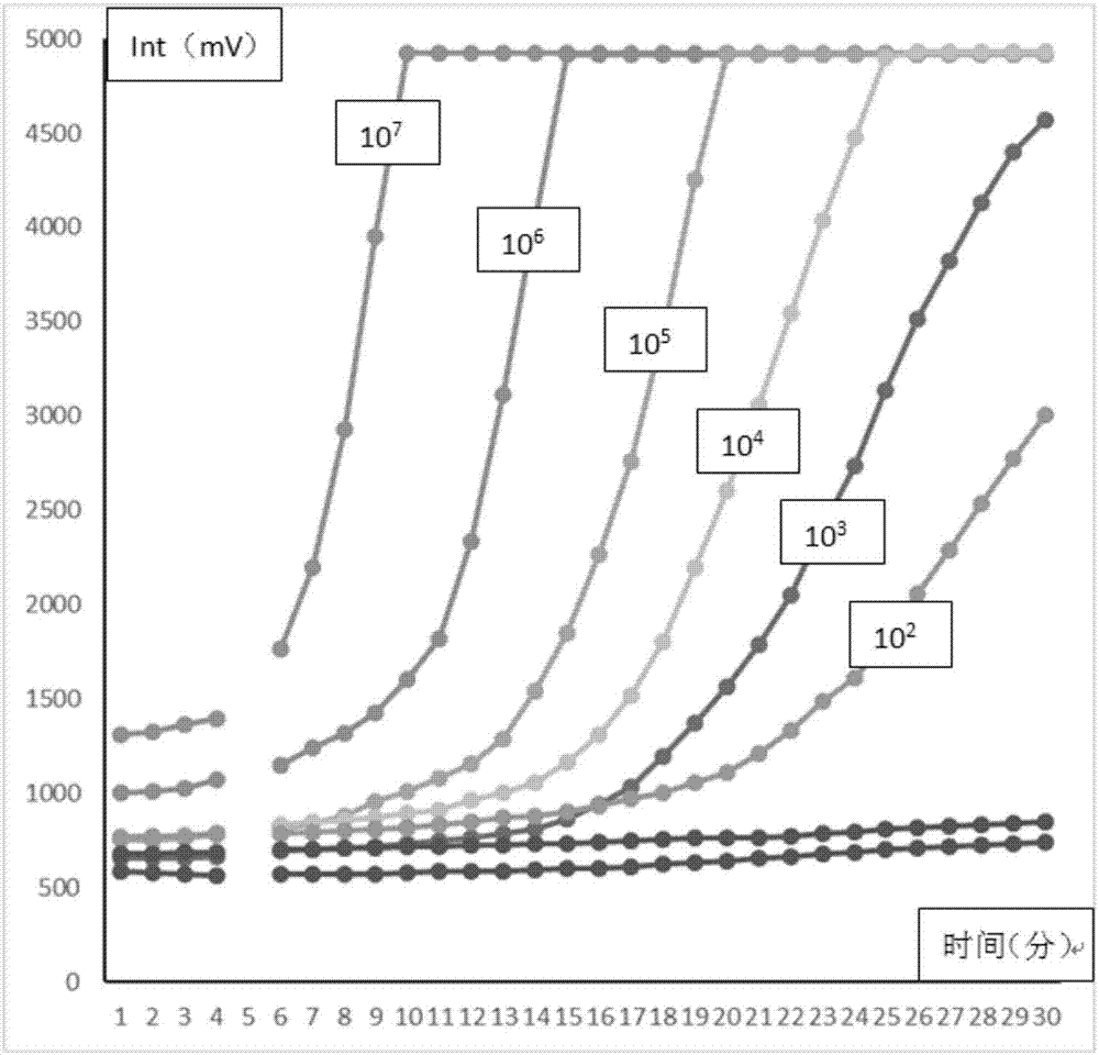 Nucleic acid combination, kit and method for detecting cryptosporidium oocysts