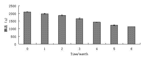 Preparation method for vacuum drying of transglutaminase