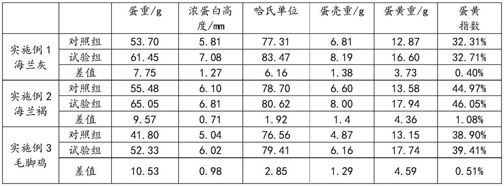 Special micro-ecological preparation for laying hens and preparation method of special micro-ecological preparation