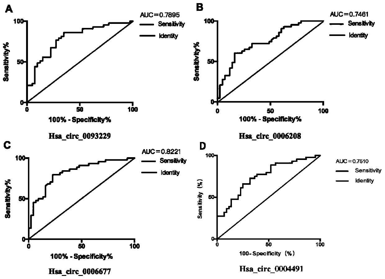 Application of circular RNA, kit, pharmaceutical composition and application of pharmaceutical composition