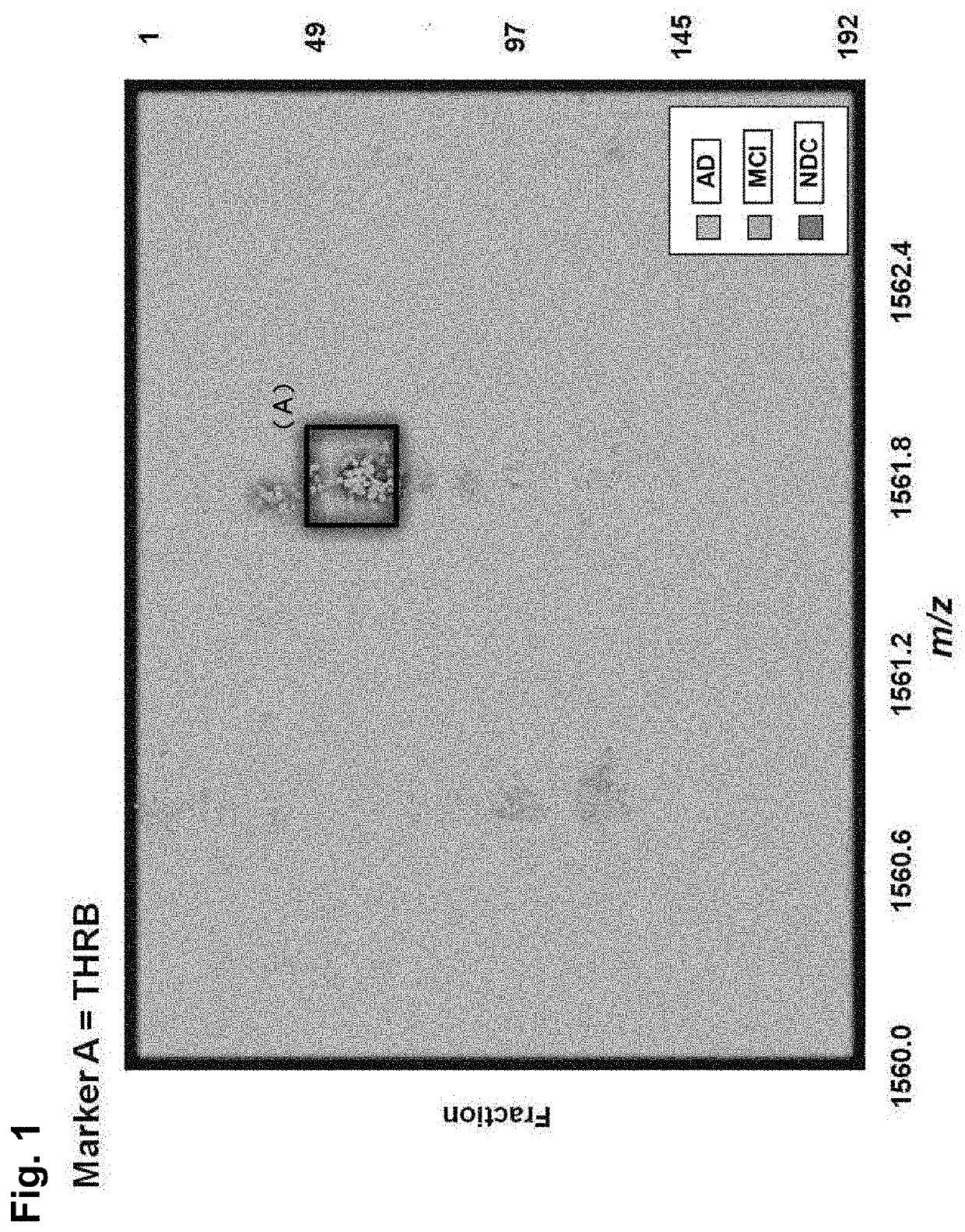 Biomarker for cognitive impairment disorders and detection method for cognitive impairment disorders using said biomarker