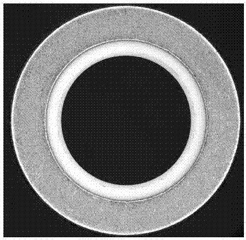 Ceramic defect visual inspection method