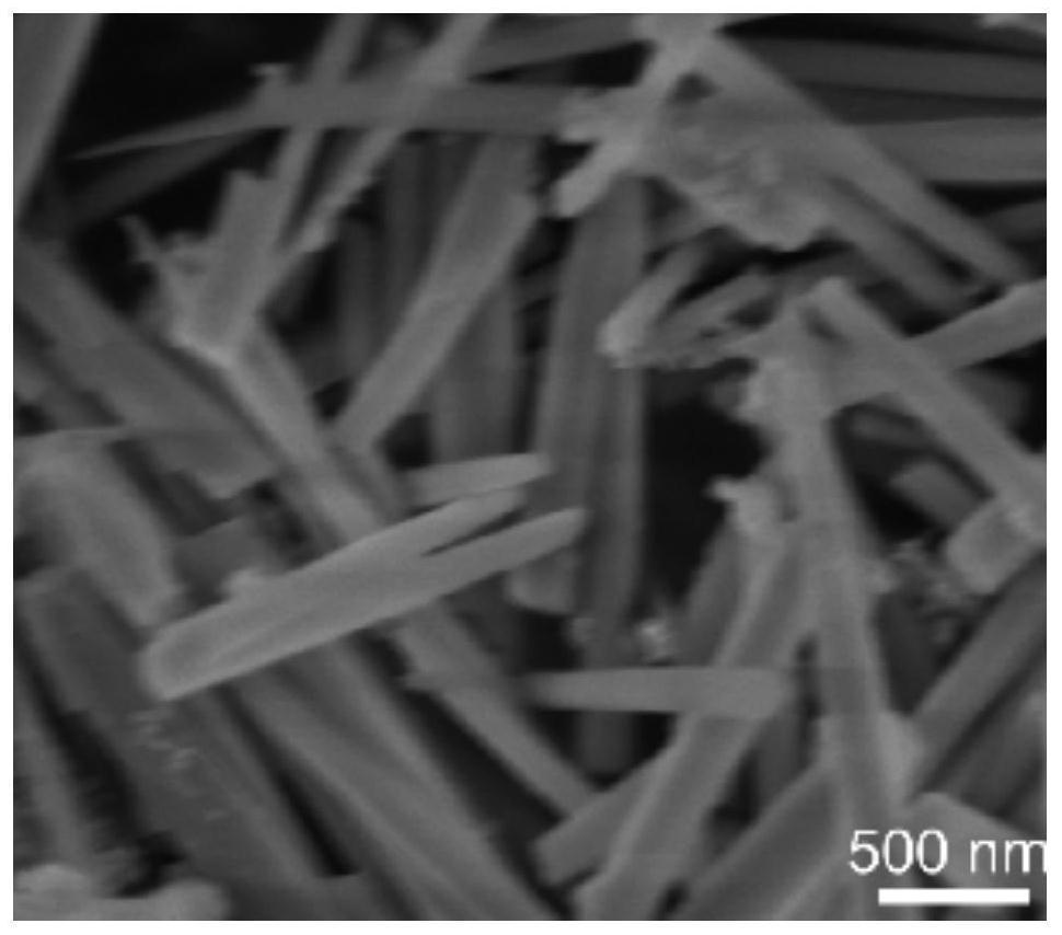 Self-healing branched polyethylene diamine hydrogel microcapsule composite material as well as preparation method and application thereof