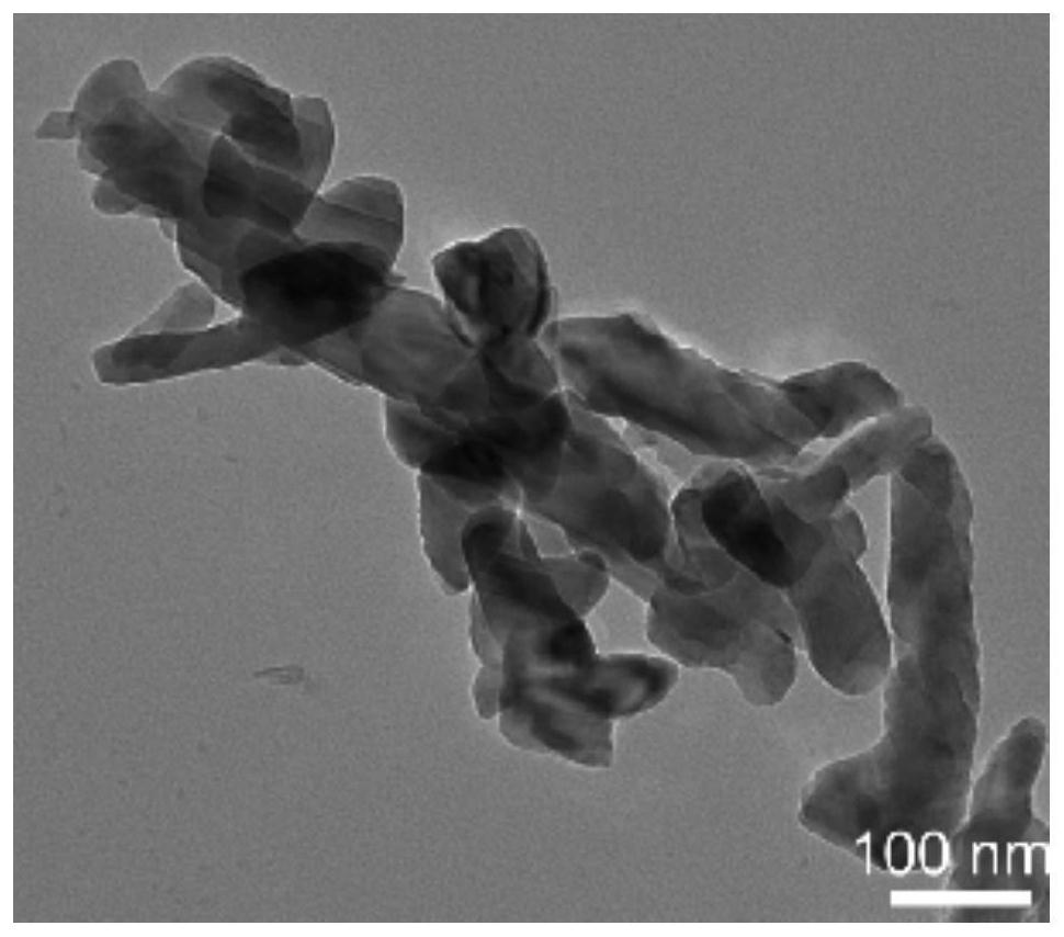 Self-healing branched polyethylene diamine hydrogel microcapsule composite material as well as preparation method and application thereof