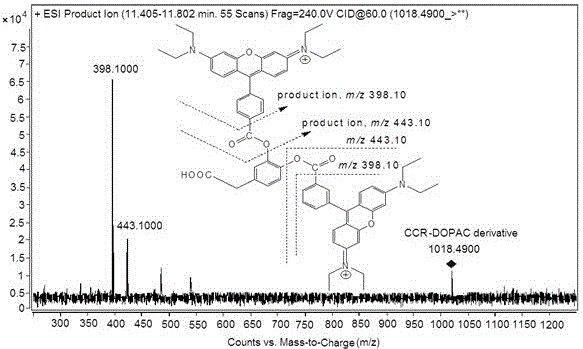 Detecting method for determining various neurotransmitters on the basis of in situ derivation