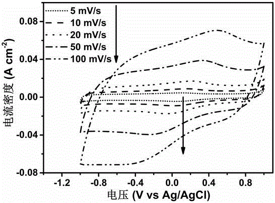 Preparation method of flexible self-supporting carbon paper supercapacitor electrode material and application