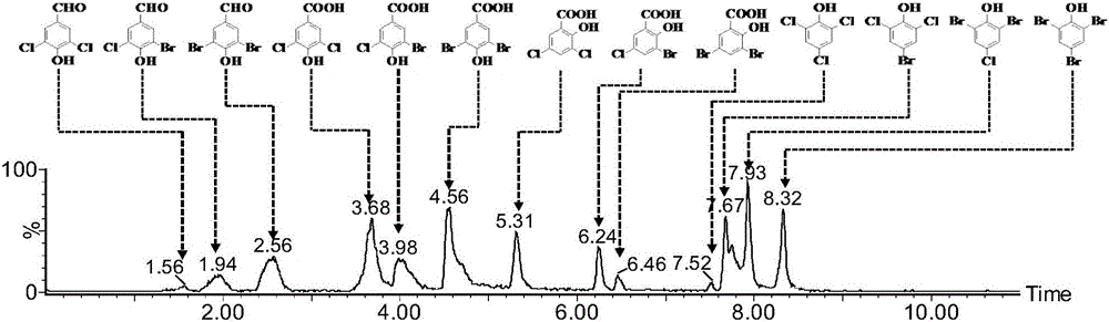 Method for detecting polar phenol type chlorinated/brominated disinfection by-products in water