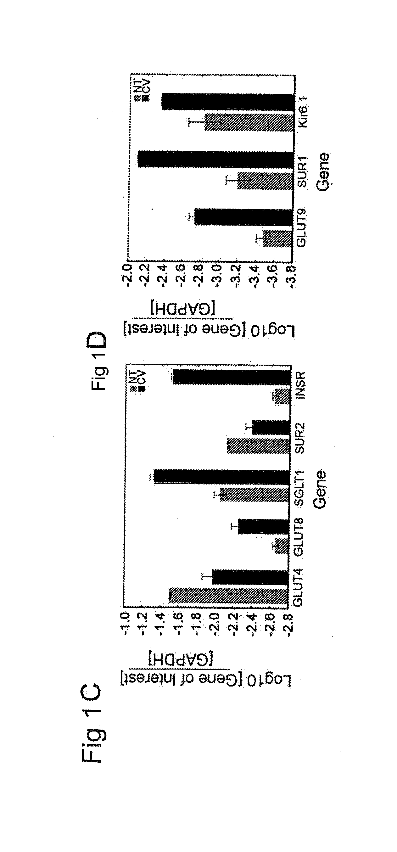 Compositions and Methods for Providing or Modulating Sweet Taste or Methods of Screening Therefor