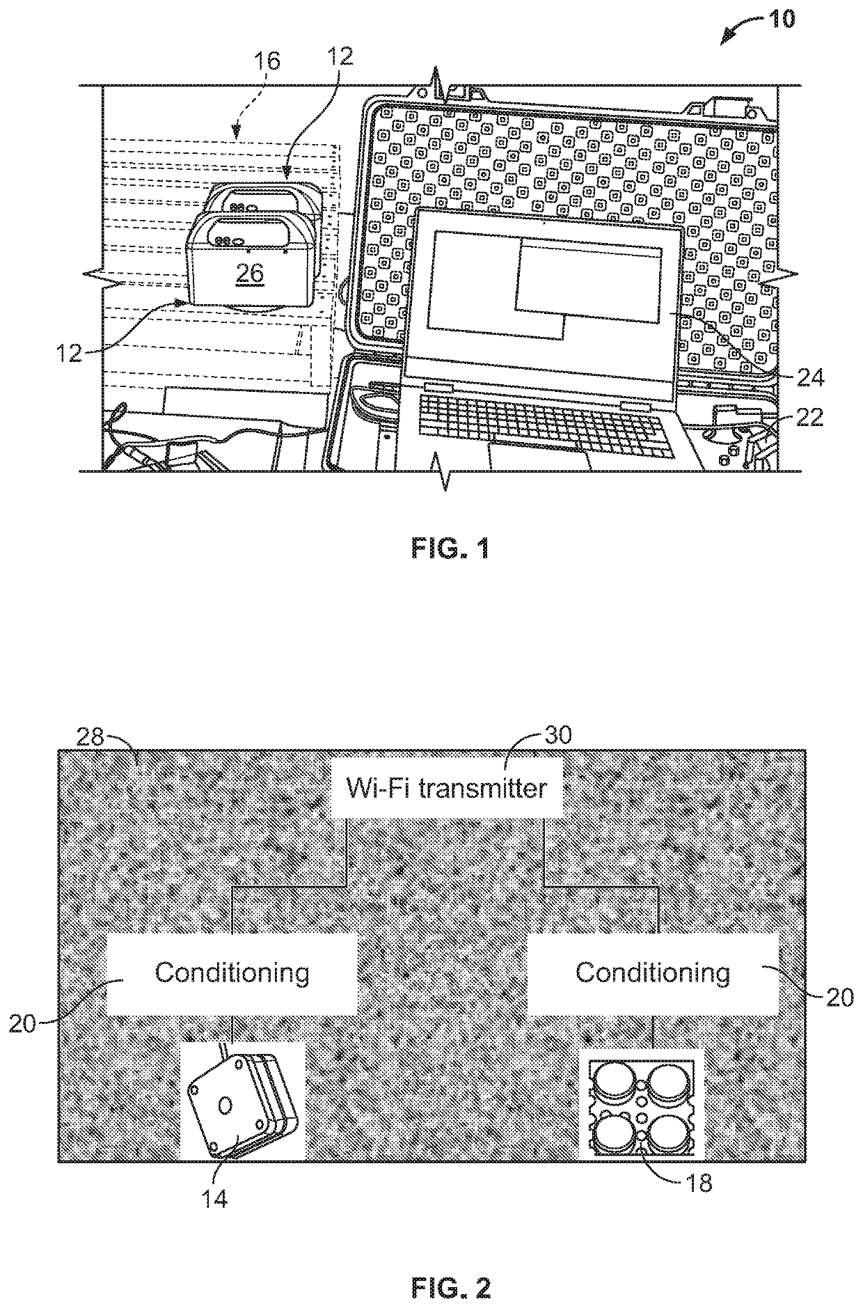 Wood boring insect detection system and method