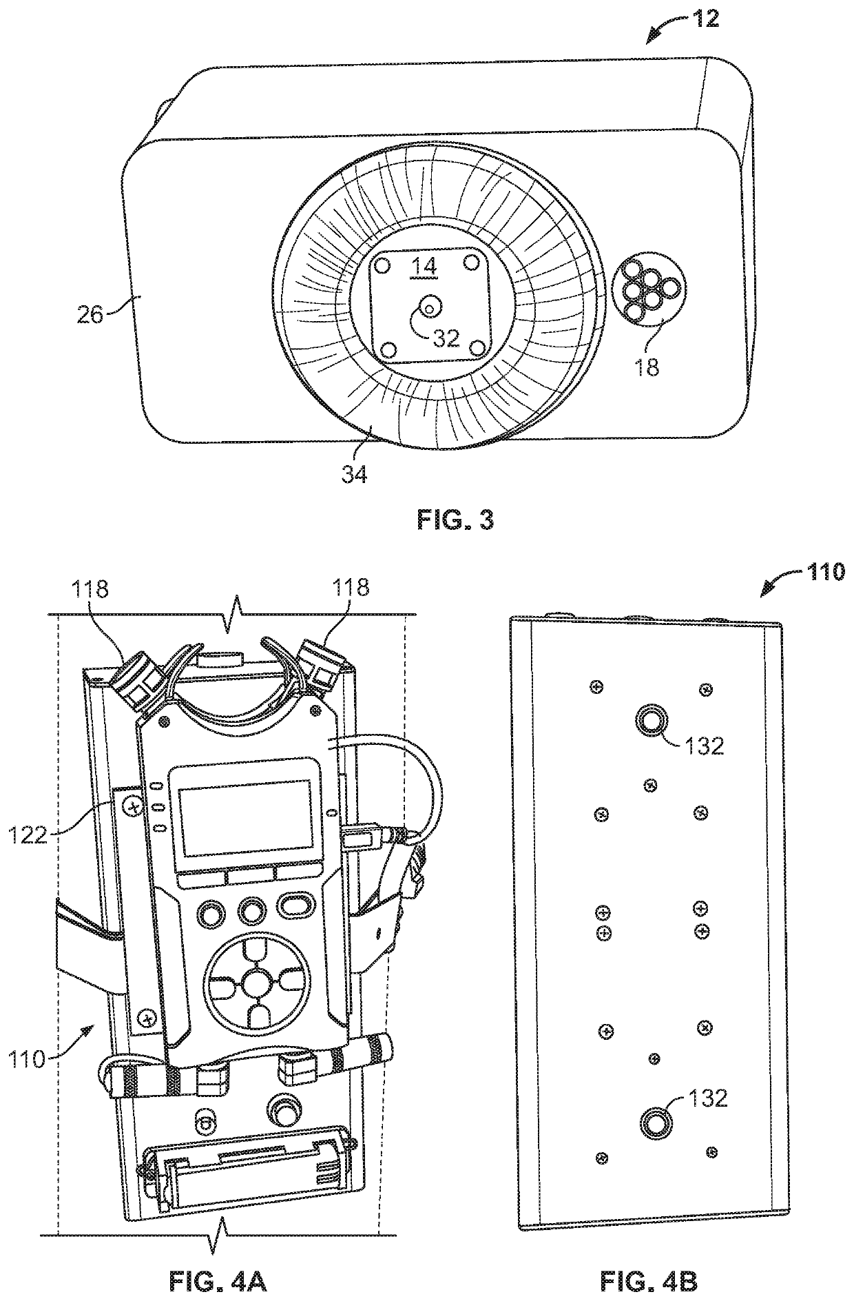 Wood boring insect detection system and method