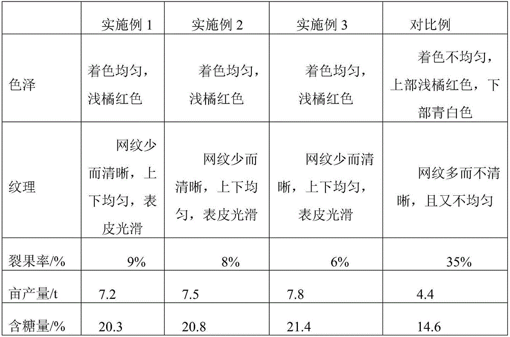 Hami melon planting method capable of preventing fruit cracking