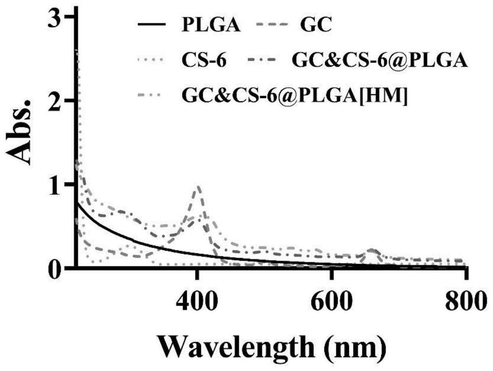 Particle size variable anti-tumor bionic nano preparation based on PLGA and preparation method and application thereof