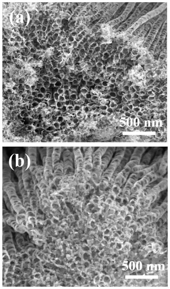 Preparation method and application of nano composite material oxygen-doped molybdenum disulfide/titanium dioxide nanotube array