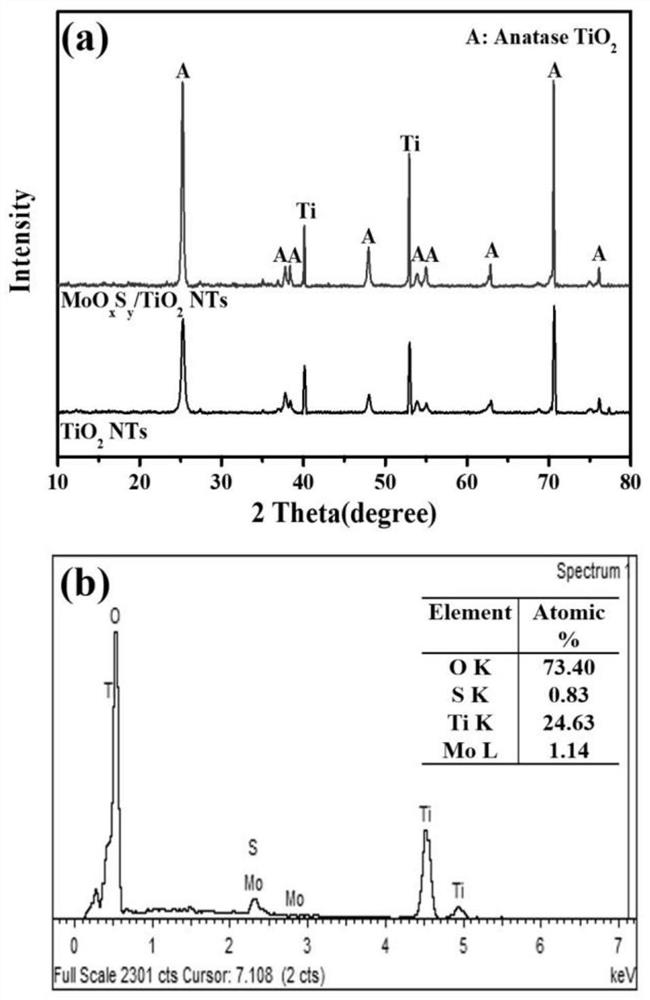 Preparation method and application of nano composite material oxygen-doped molybdenum disulfide/titanium dioxide nanotube array