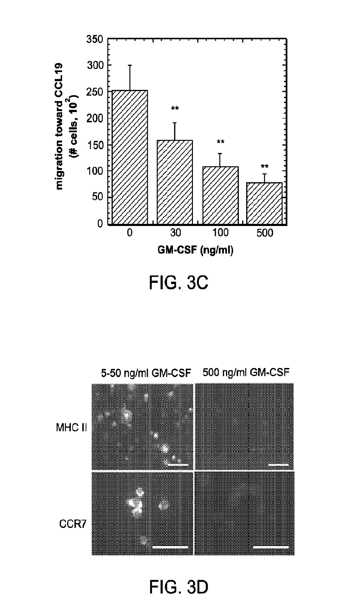 Immunoconjugates for programming or reprogramming of cells