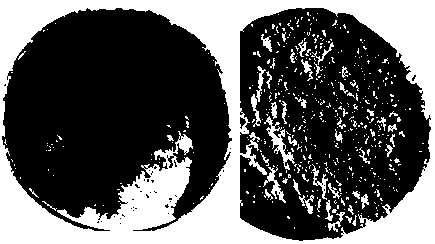 Preparation method for instant kiwifruit powder