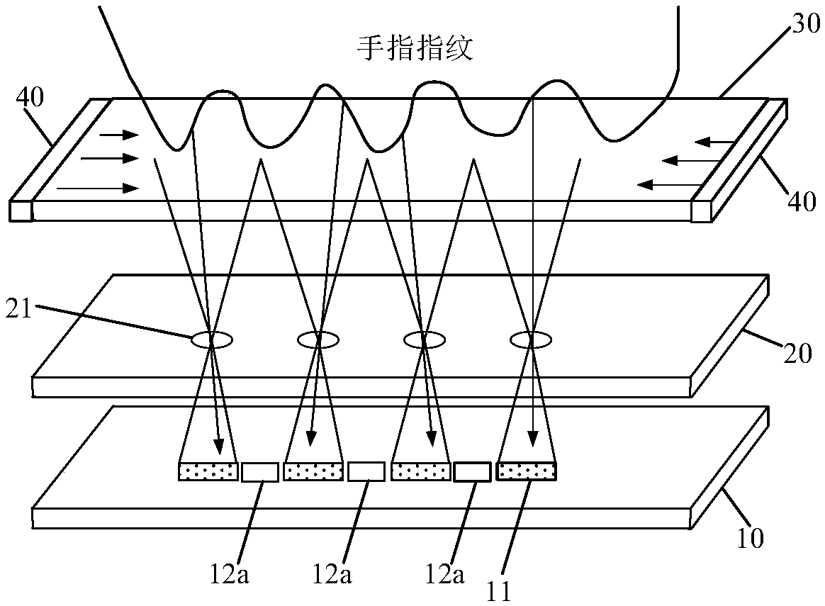 Fingerprint identification device and fingerprint identification equipment